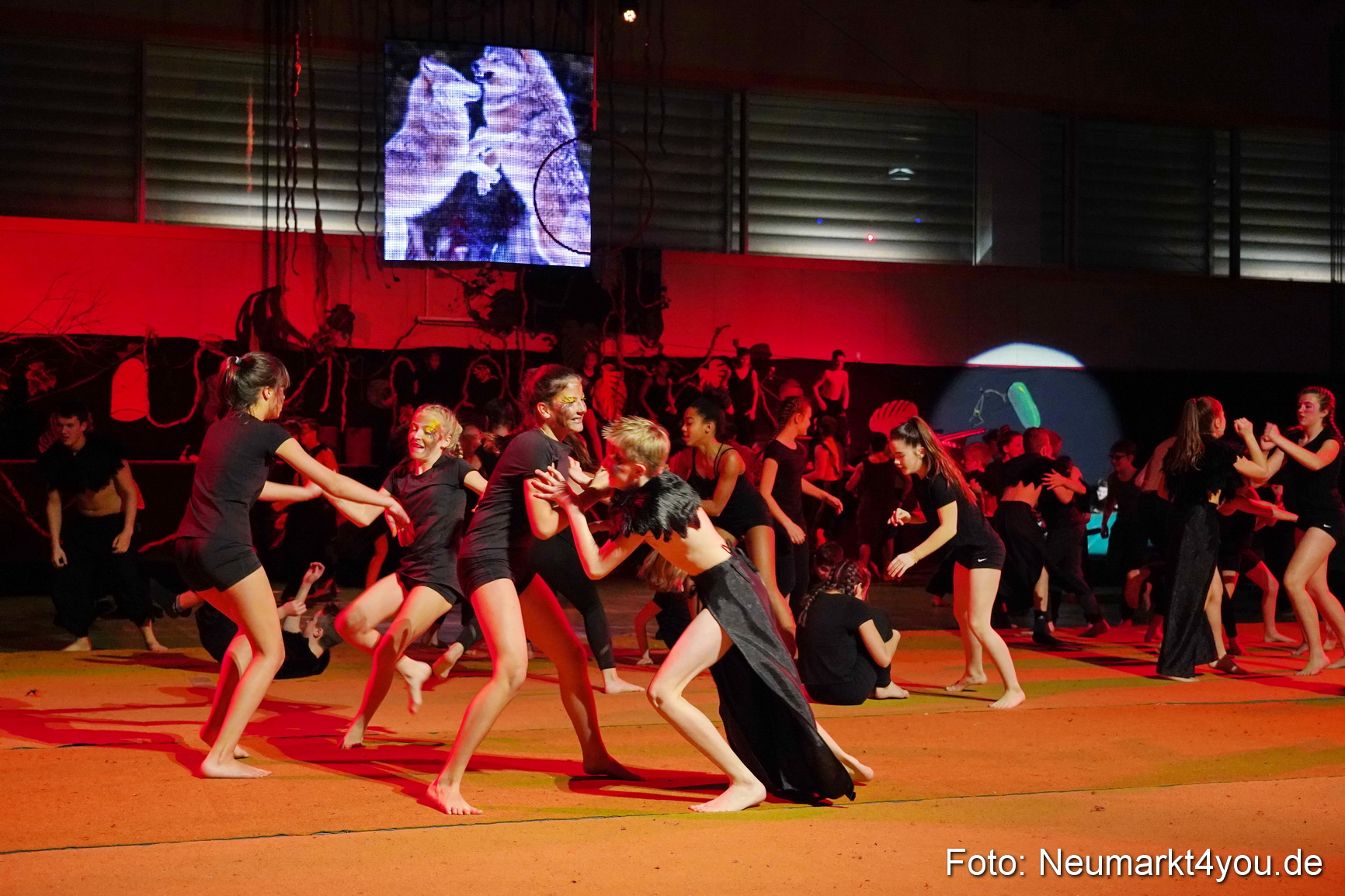 Artico Artistical Dschungelbuch 2020 0140